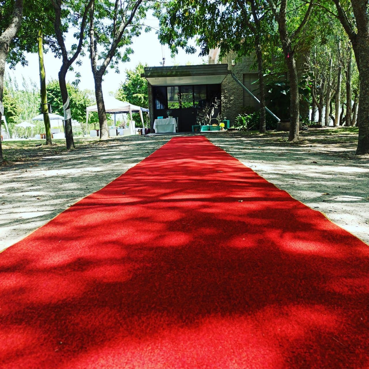 Alfombra roja entre los árboles