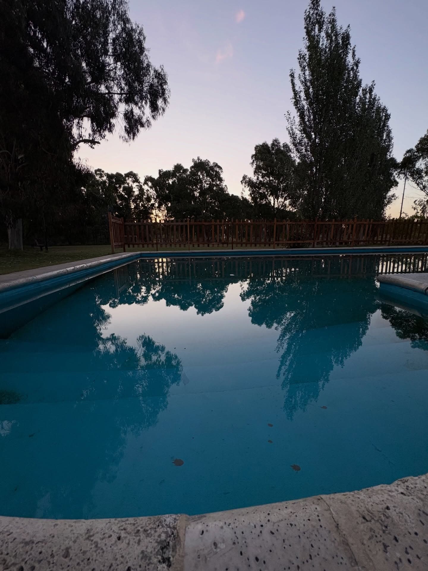 La pileta de la quinta